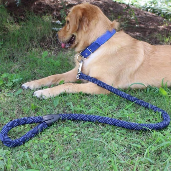 Heavy-duty large dog leash with coller sets. - Picture 5 of 5